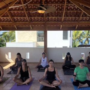 Yoga and Meditation Wellness Retreat