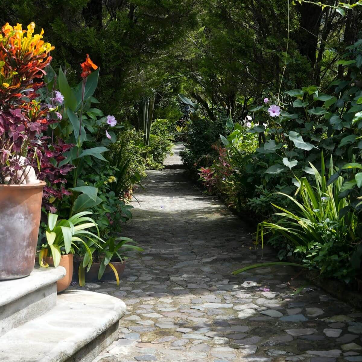 trail to garden sanctuary at Lake Atitlan retreat for women